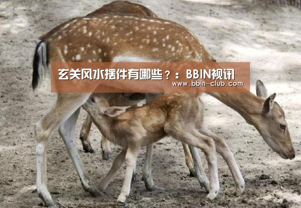 玄关风水摆件有哪些?:BBIN视讯